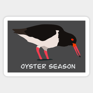 Oyster Season - Oyster Catcher Bird Design Sticker